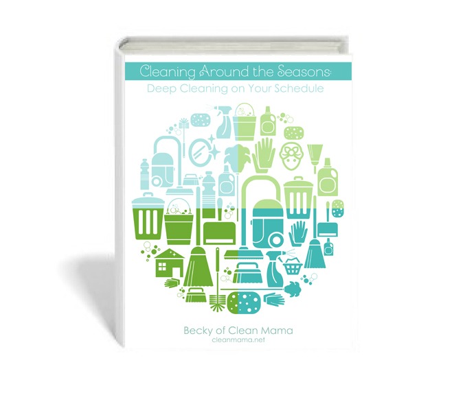 cleaning_around_the_seasons_book2cover